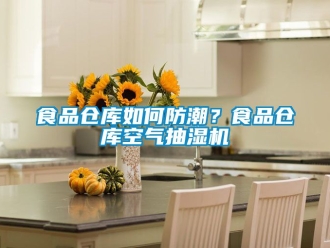 企業手机看片AV短片食品倉庫如何防潮？食品倉庫空氣抽濕機