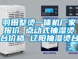 企業手机看片AV短片羽田整燙一體機廠家報價 點動式抽濕燙台價格 遼陽抽濕燙台