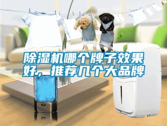 企業手机看片AV短片91看片在线下载機哪個牌子效果好，推薦幾個大品牌