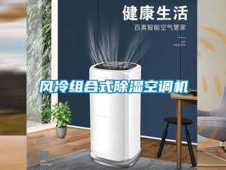 行業手机看片AV短片風冷組合式91看片在线下载空調機