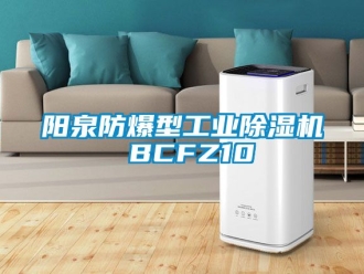 企業手机看片AV短片陽泉防爆型工業91看片在线下载機 BCFZ10