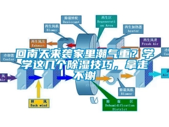 行業手机看片AV短片回南天來襲家裏潮氣重？學學這幾個91看片在线下载技巧，拿走不謝