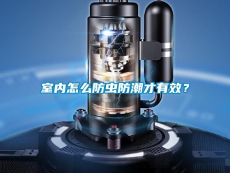 常見問題室內怎麽防蟲防潮才有效？