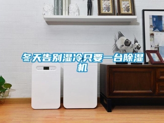 企業手机看片AV短片冬天告別濕冷隻要一台91看片在线下载機