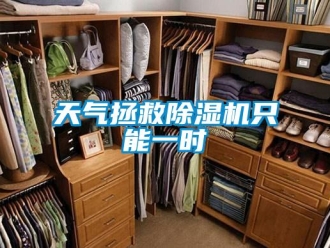知識百科天氣拯救91看片在线下载機隻能一時