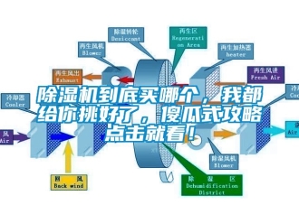 企業手机看片AV短片91看片在线下载機到底買哪個，我都給你挑好了，傻瓜式攻略點擊就看！