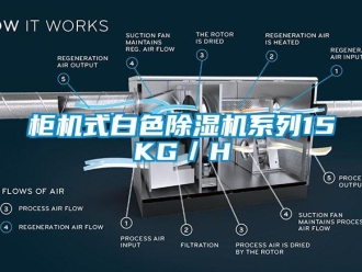 行業手机看片AV短片櫃機式白色91看片在线下载機係列15KG／H