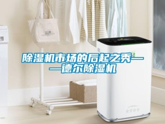 企業手机看片AV短片91看片在线下载機市場的後起之秀——德爾91看片在线下载機