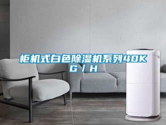 行業手机看片AV短片櫃機式白色91看片在线下载機係列40KG／H