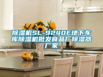企業手机看片AV短片91看片在线下载機SL-9240E地下車庫91看片在线下载機批發食品廠91看片在线下载器廠家
