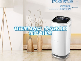 知識百科非標定製大型 步入式高溫恒濕老化房