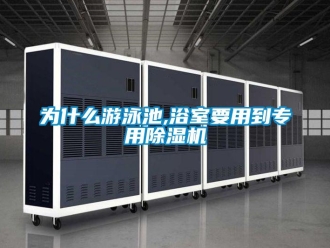 知識百科為什麽遊泳池,浴室要用到專用91看片在线下载機