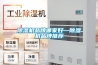 91看片在线下载機品牌哪家好—91看片在线下载機品牌推薦