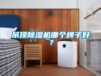 企業手机看片AV短片吊頂91看片在线下载機哪個牌子好？