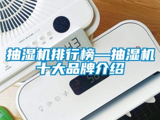 企業手机看片AV短片抽濕機排行榜—抽濕機十大品牌介紹