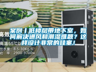 企業手机看片AV短片案例丨低樓層帶地下室，如何解決通風和潮濕難題？這樣設計非常的哇塞！