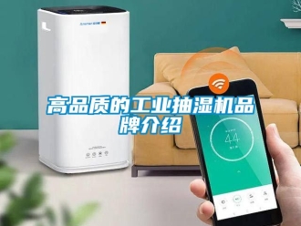 企業手机看片AV短片高品質的工業抽濕機品牌介紹