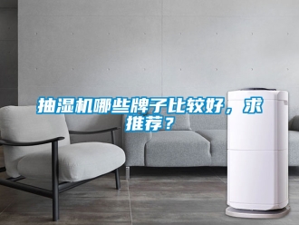 企業手机看片AV短片抽濕機哪些牌子比較好，求推薦？