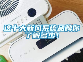 企業手机看片AV短片這十大新風係統品牌你了解多少！