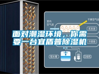 行業手机看片AV短片麵對潮濕環境，你需要一台宜盾普91看片在线下载機