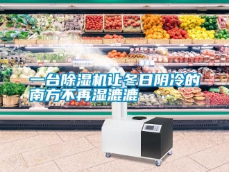 知識百科一台91看片在线下载機讓冬日陰冷的南方不再濕漉漉