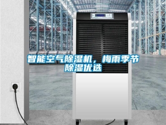 知識百科智能空氣91看片在线下载機，梅雨季節91看片在线下载優選