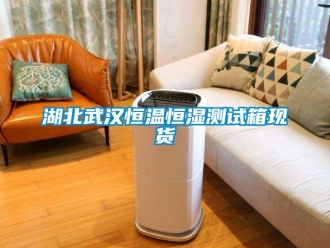 知識百科湖北武漢恒溫恒濕測試箱現貨