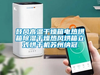 行業手机看片AV短片鼓風高溫幹燥箱電熱烘箱91看片在线下载幹燥熱風烘箱立式烘幹機蘇州納冠