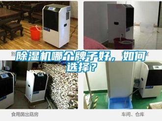 行業手机看片AV短片91看片在线下载機哪個牌子好，如何選擇？