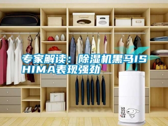 知識百科專家解讀：91看片在线下载機黑馬ISHIMA表現強勁