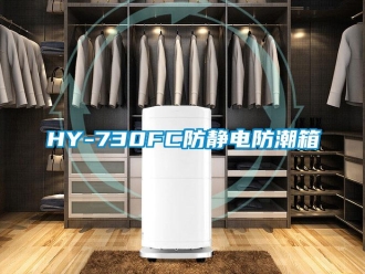 企業手机看片AV短片HY-730FC防靜電防潮箱