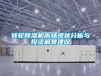 常見問題轉輪91看片在线下载機市場現狀分析與投資前景建議