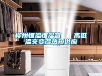 知識百科柳州恒溫恒濕箱   高低溫交變濕熱箱供應