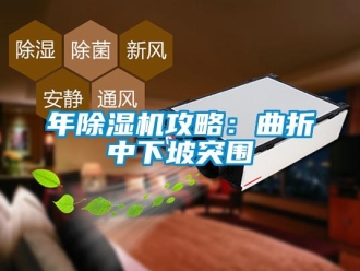 行業手机看片AV短片年91看片在线下载機攻略：曲折中下坡突圍