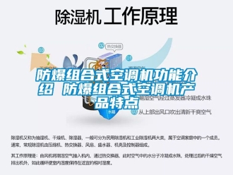 企業手机看片AV短片防爆組合式空調機功能介紹 防爆組合式空調機產品特點