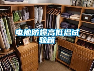 企業手机看片AV短片電池防爆高低溫試驗箱