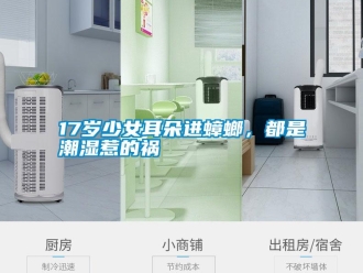常見問題17歲少女耳朵進蟑螂，都是潮濕惹的禍