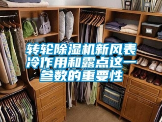 常見問題轉輪91看片在线下载機新風表冷作用和露點這一參數的重要性