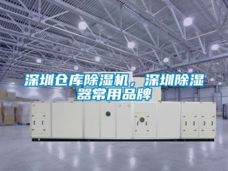 企業手机看片AV短片深圳倉庫91看片在线下载機，深圳91看片在线下载器常用品牌