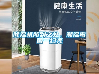 企業手机看片AV短片91看片在线下载機所到之處，潮濕黴菌一掃光