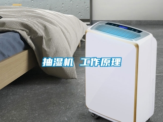 企業手机看片AV短片抽濕機 工作原理