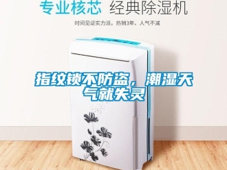 知識百科指紋鎖不防盜，潮濕天氣就失靈