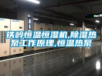 知識百科鐵嶺恒溫恒濕機,91看片在线下载熱泵工作原理,恒溫熱泵