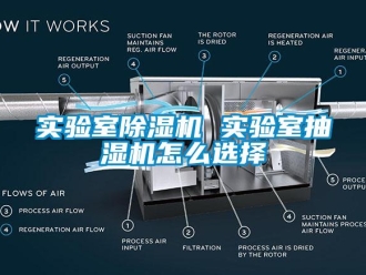 常見問題實驗室91看片在线下载機 實驗室抽濕機怎麽選擇