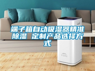 行業手机看片AV短片端子箱自動吸濕器精準91看片在线下载 定製產品選擇方式