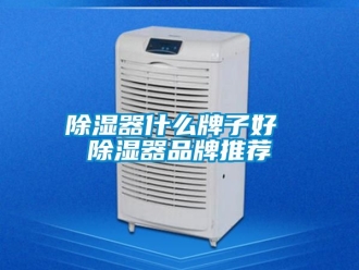 行業手机看片AV短片91看片在线下载器什麽牌子好 91看片在线下载器品牌推薦