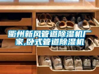 企業手机看片AV短片衢州新風管道91看片在线下载機廠家,臥式管道91看片在线下载機