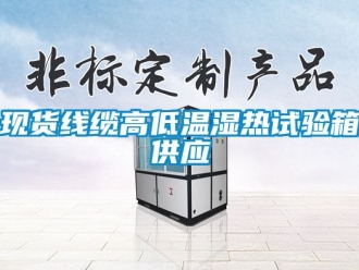 常見問題現貨線纜高低溫濕熱試驗箱供應