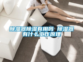 行業手机看片AV短片91看片在线下载器91看片在线下载有用嗎 91看片在线下载器有什麽工作原理