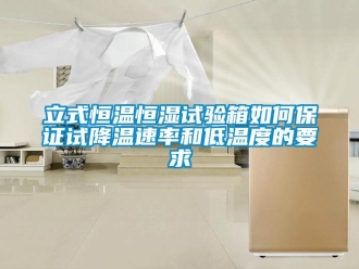 知識百科立式恒溫恒濕試驗箱如何保證試降溫速率和低溫度的要求